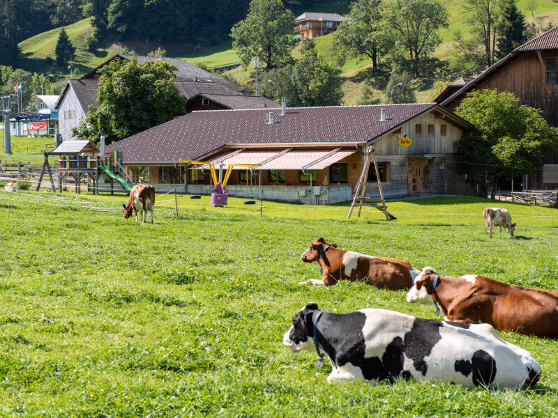 Ranch Beizli Marbach